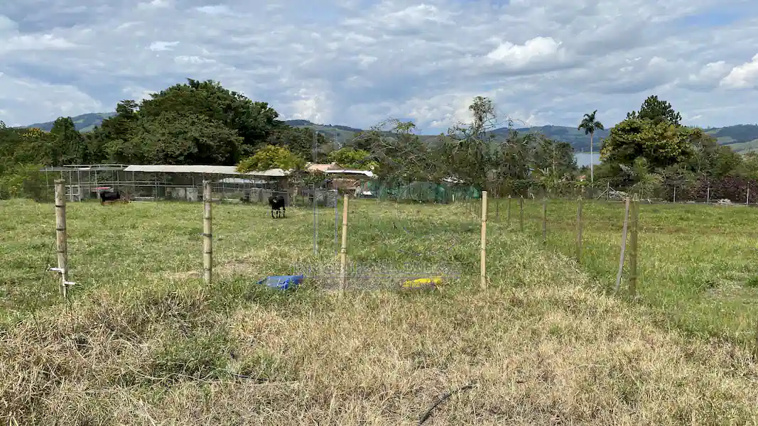 Lotes Iguazú